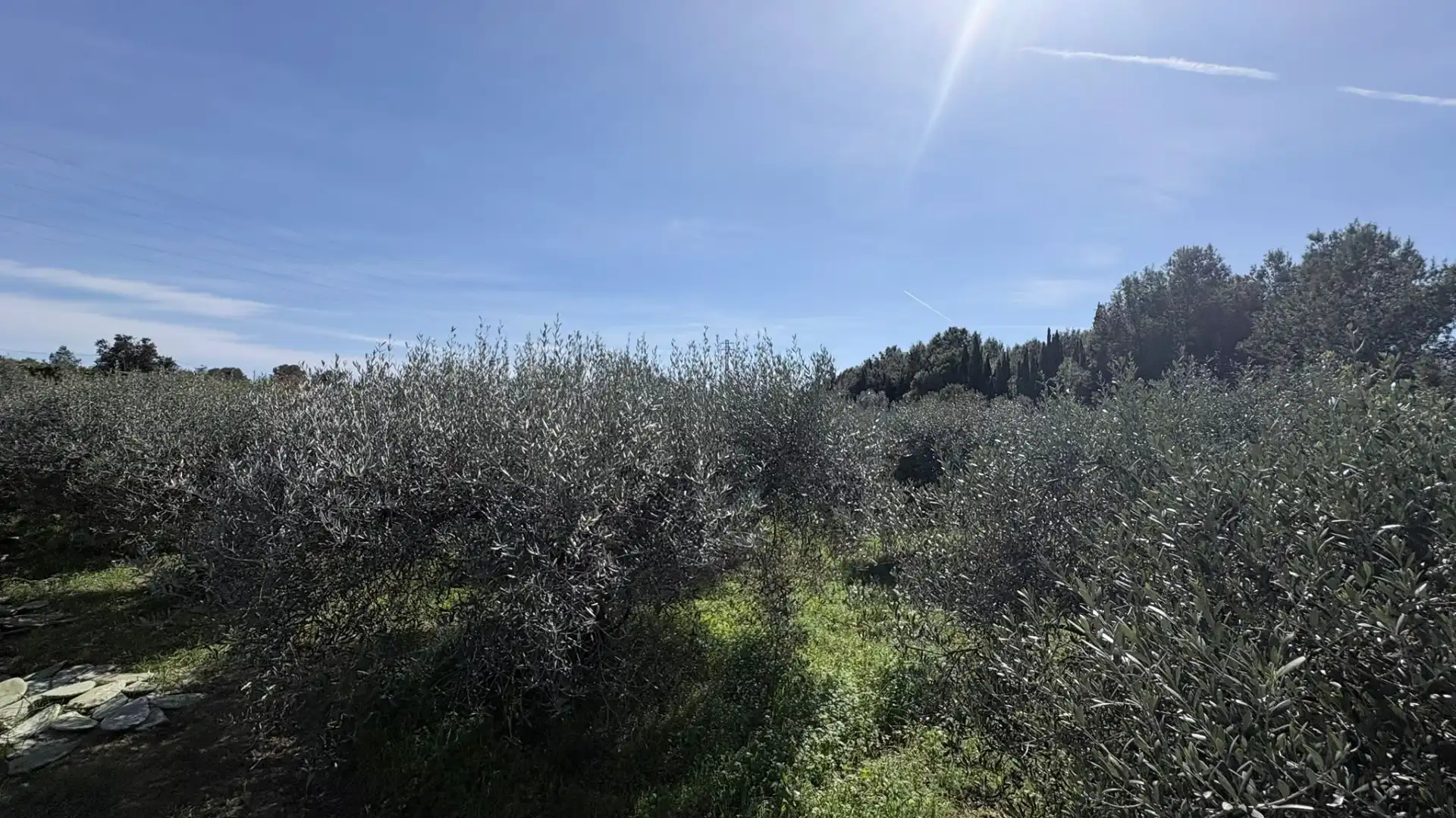 Land for sale in Vilanova i la Geltrú