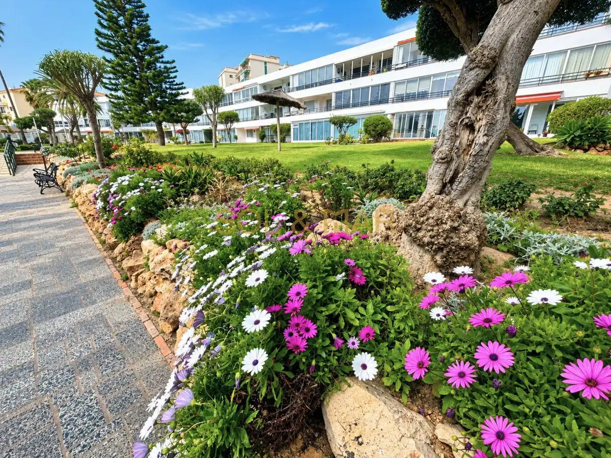Apartment with pool for sale in Terramar Alto, imagen 18