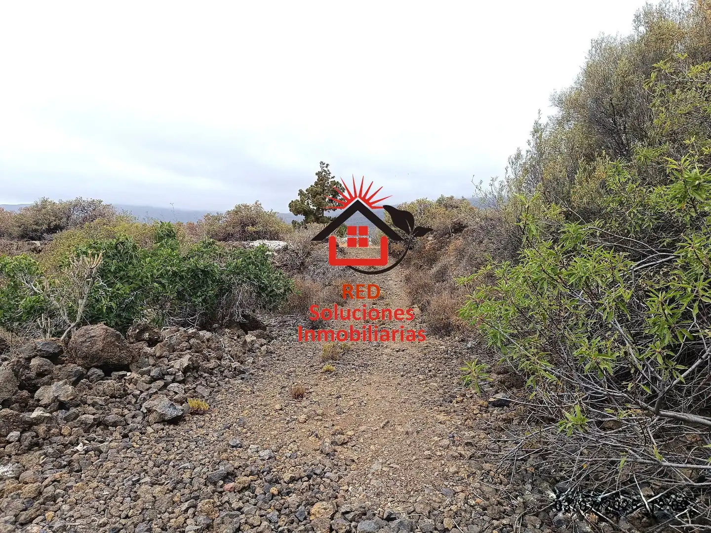 Rural land for sale in EL SERRILLAR, imagen 2