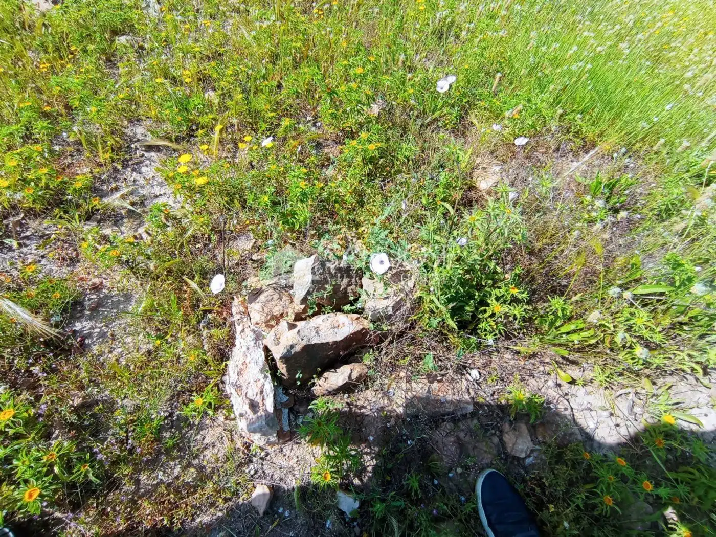 Terreno en venta en Elche / Elx