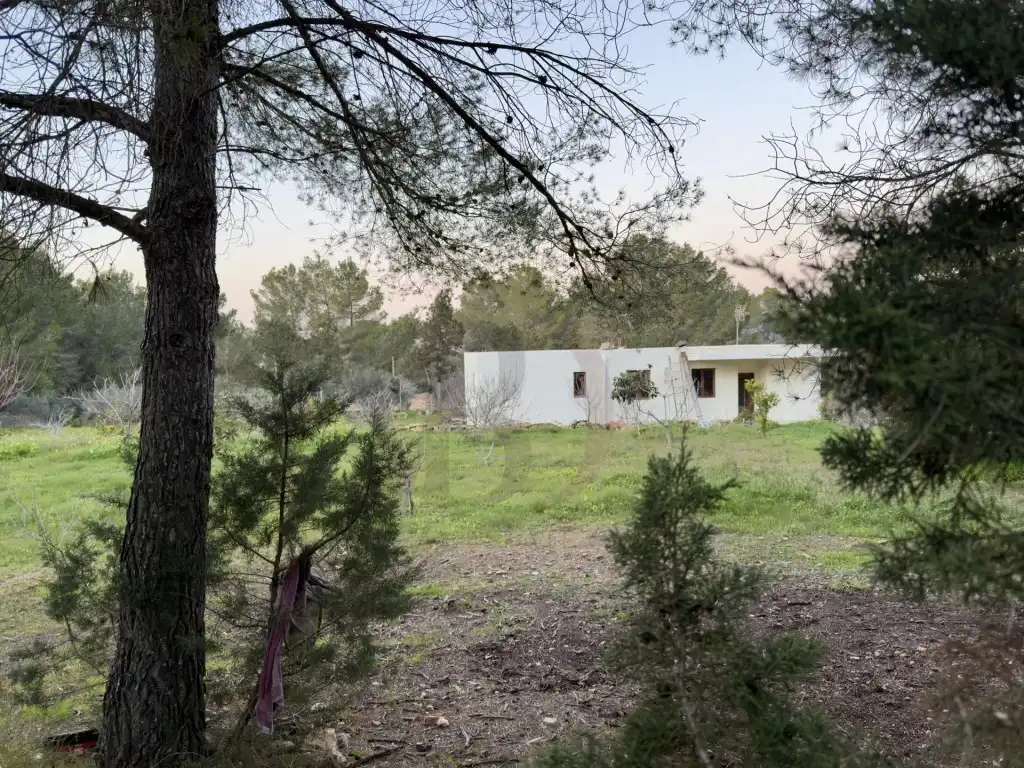 Houses for sale in Sant Josep de sa Talaia  with Private garden