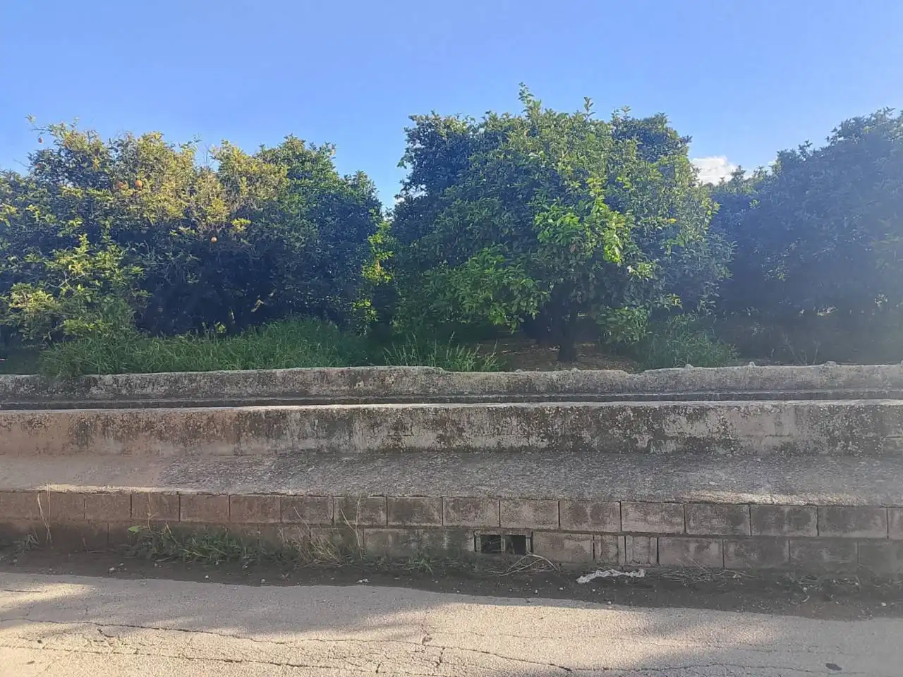 Terreny rústic en venda a Camino Viejo de Xátiva, imagen 4