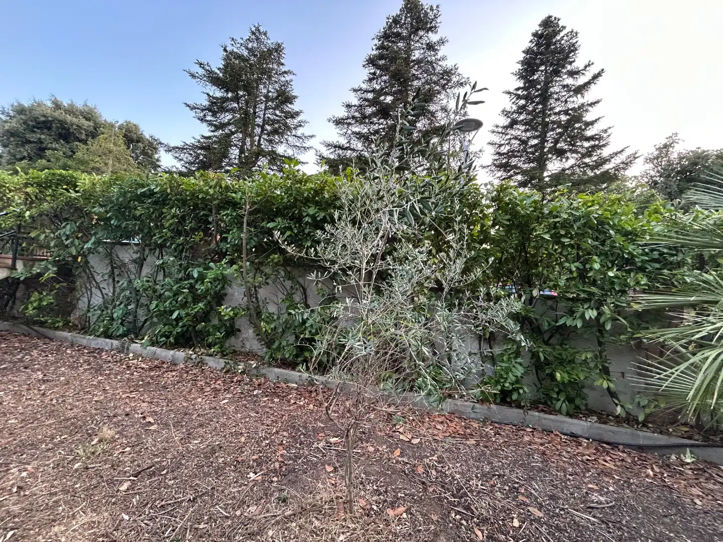 Terreno residencial en venta en Carrer Turó de Monfort 51, imagen 2