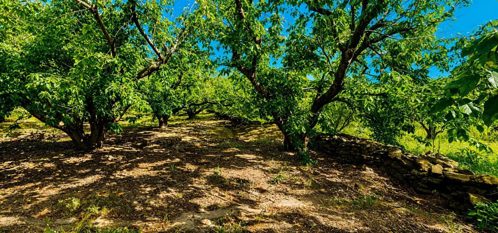 Terreno en venta en Garganta la Olla