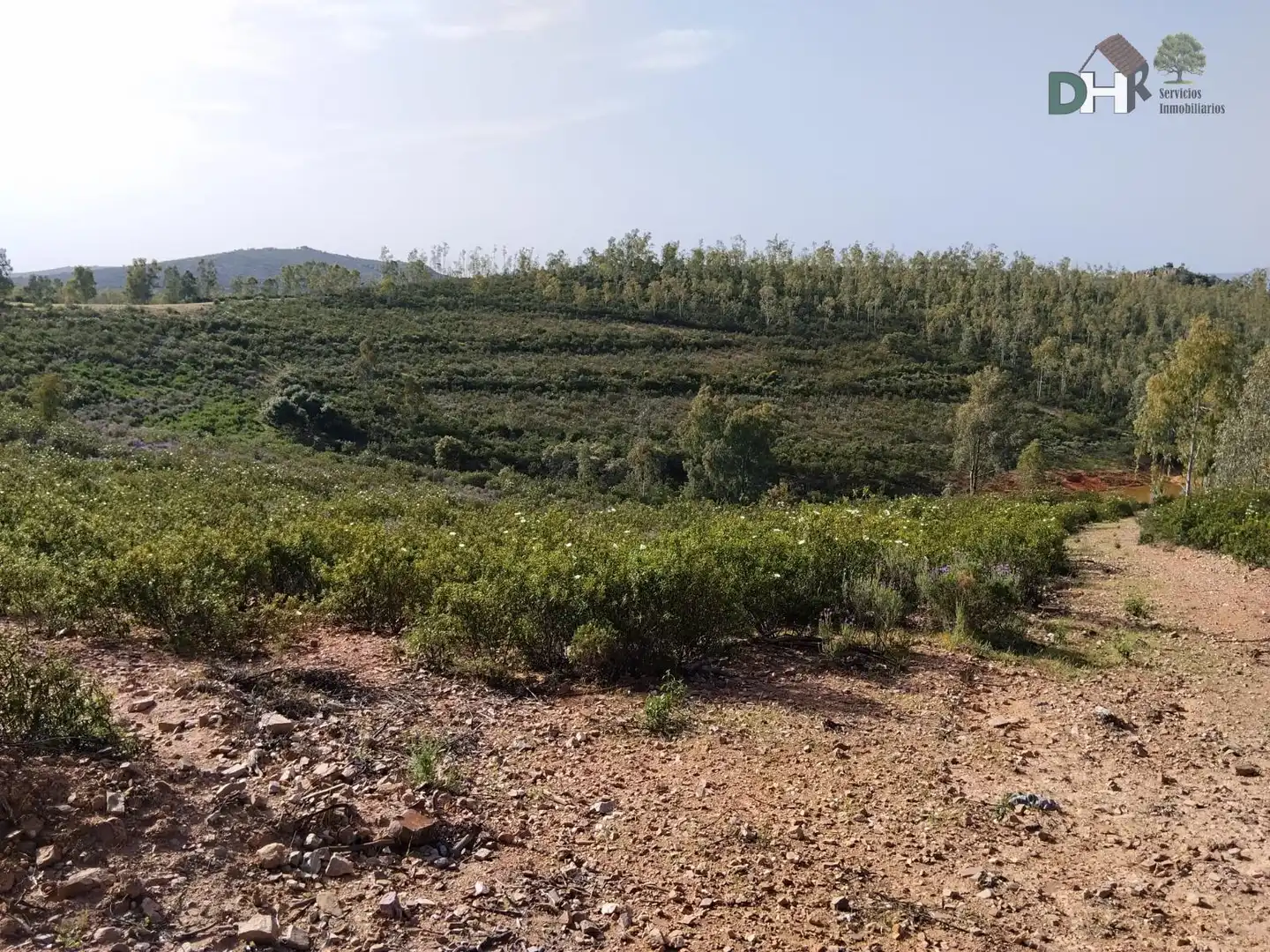 Terreni e lotti in vendita a San Roque - Ronda Norte, imagen 6