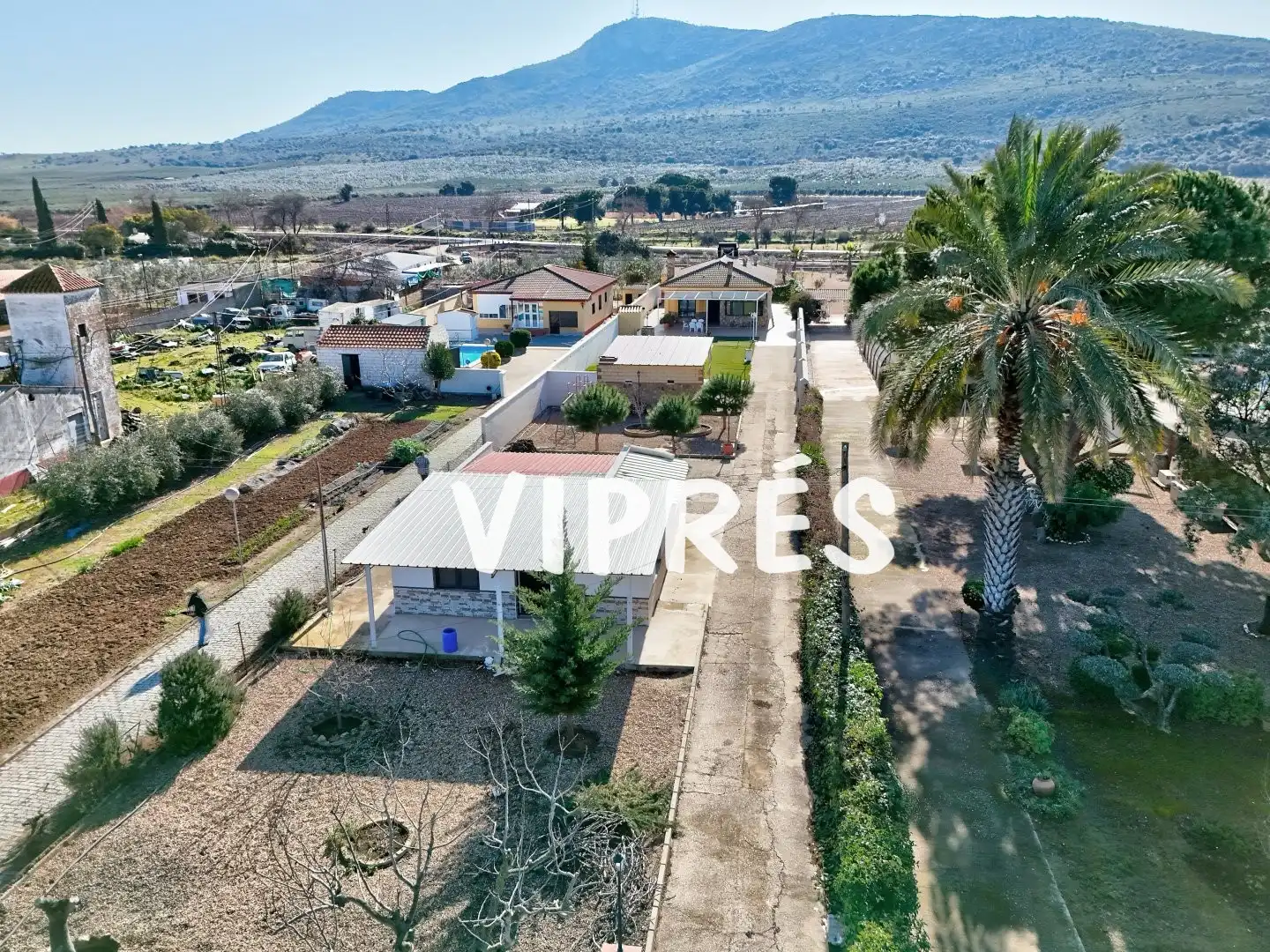 Chalet con piscina en venta en Arroyo de San Serván, imagen 8