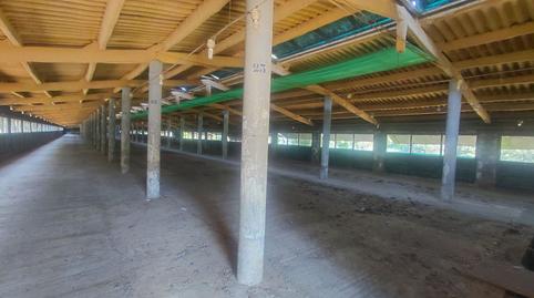 Photo 4 of Industrial buildings to rent in Canyamars, Barcelona