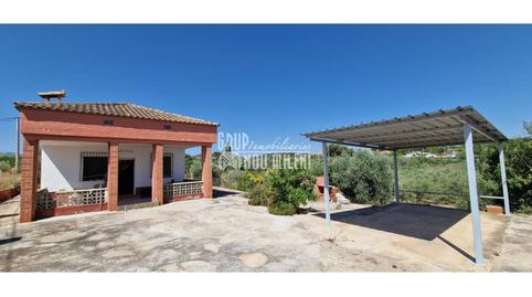 Foto 3 de Finca rústica en venda a Carretera Liria Tabernes de Valldigna, Turís, Valencia