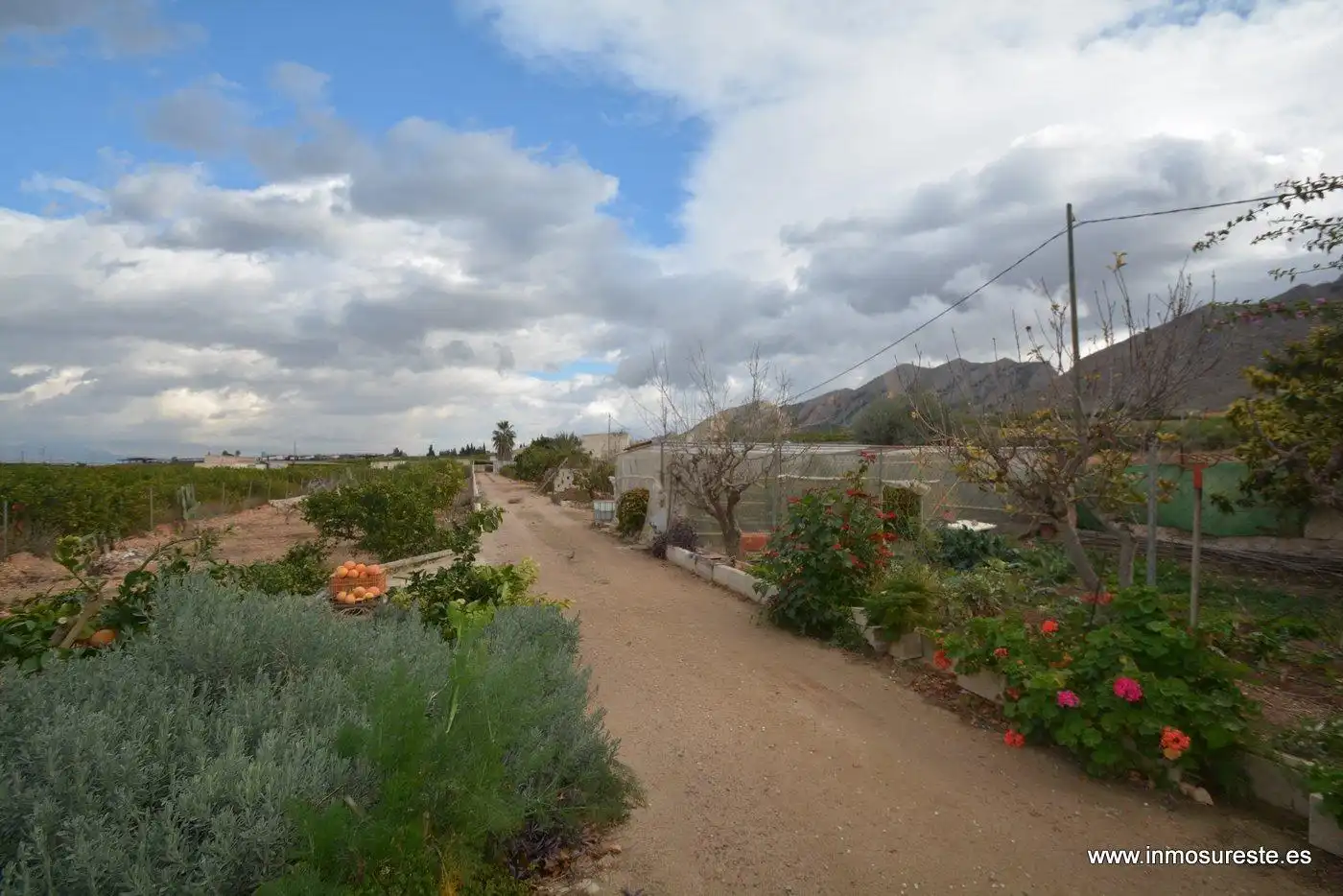 Garden of Country homes for sale in Santomera  with Private garden and Swimming Pool