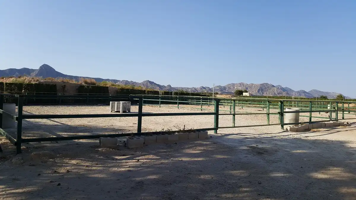 Casa rústica amb piscina en venda a N/A, imagen 44