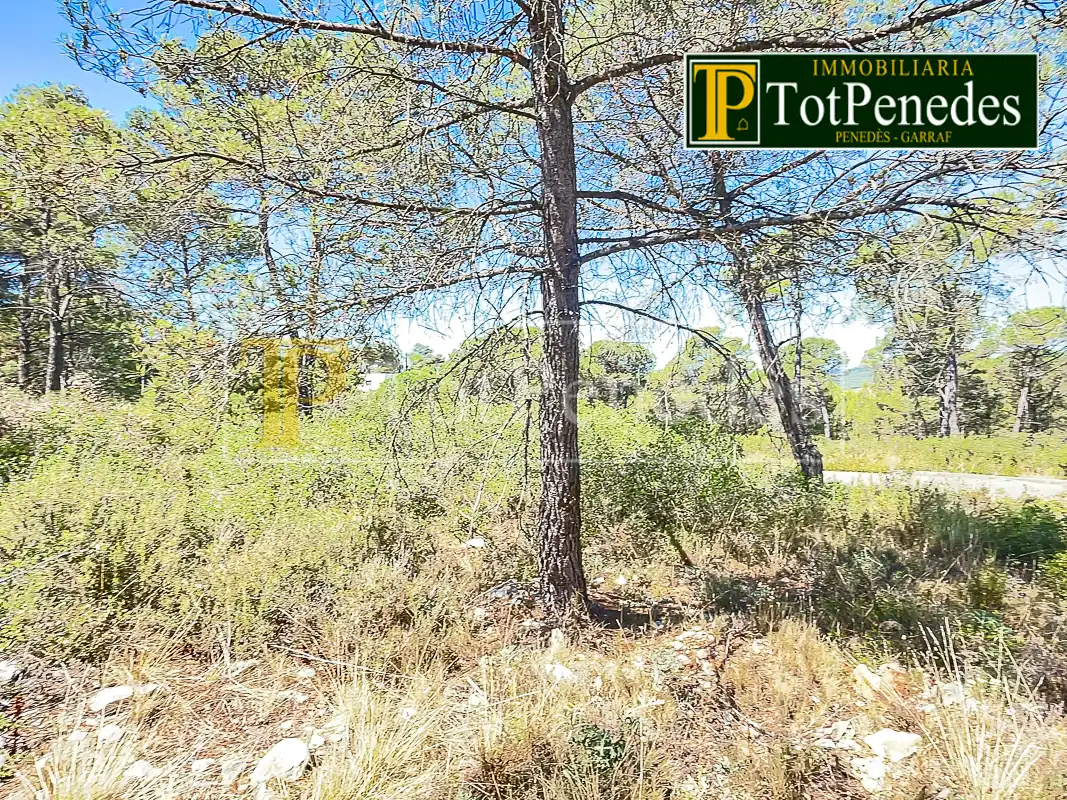 Terreny residencial en venda a Carrer Tarragona, imagen 15