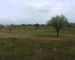 Residencial en venda en Marratxí