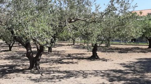 Photo 3 of Country homes for sale in Plaça Numero 16, 519, El Llombo, Ontinyent