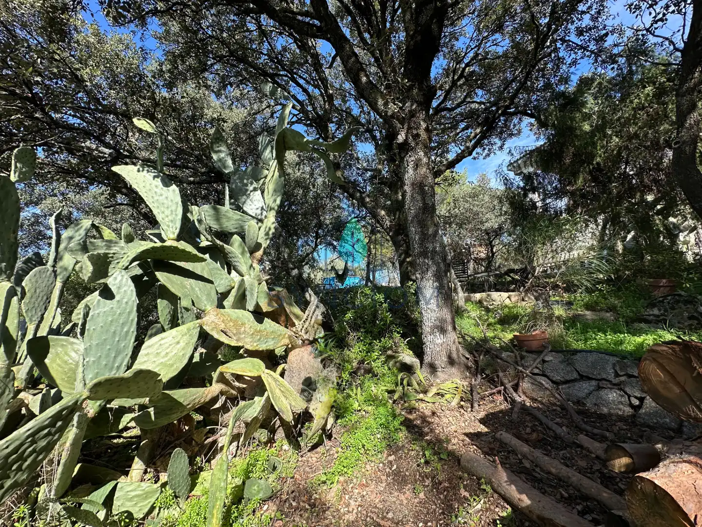 Casa o xalet en venda a Calle Castillo de Guadamur, Cerro Alarcón