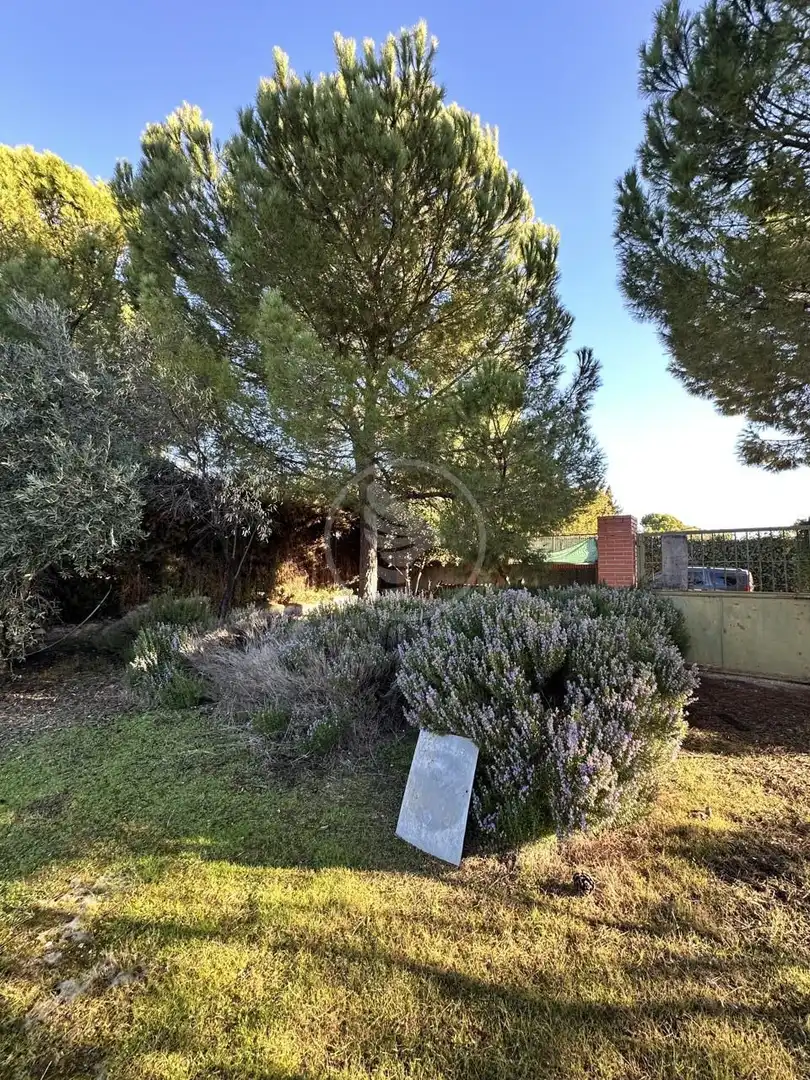 Terreni e lotti in vendita a Úbeda, imagen 4