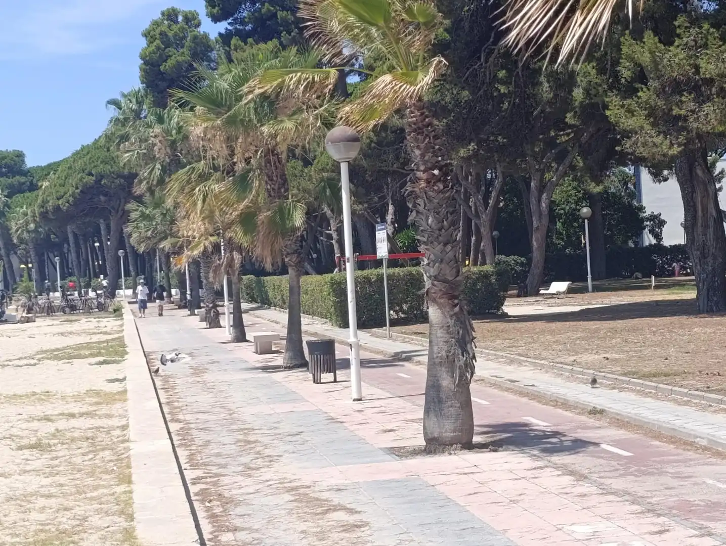 Vista exterior de Casa o chalet en venta en Cambrils con Calefacción, Terraza y Piscina
