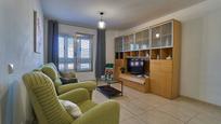 Living room of Flat for sale in Santa Lucía de Tirajana  with Storage room and Alarm
