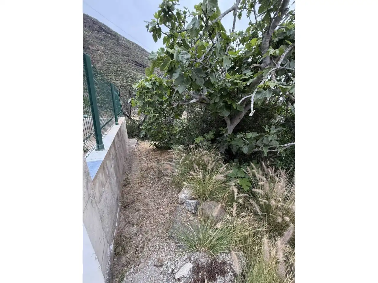 Residential land for sale in Calle Morrita, imagen 7