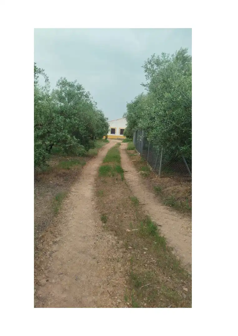 Terreno en venta en Hornachuelos