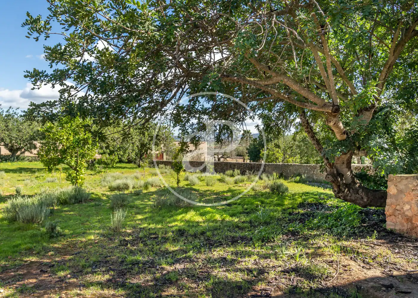 Casa o xalet en venda en  Palma de Mallorca amb Aire condicionat, Calefacció i Jardí privat