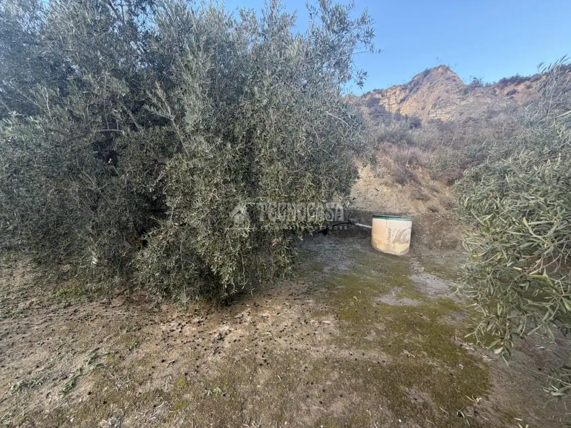 Terreno rustico in vendita a El Valle, imagen 20