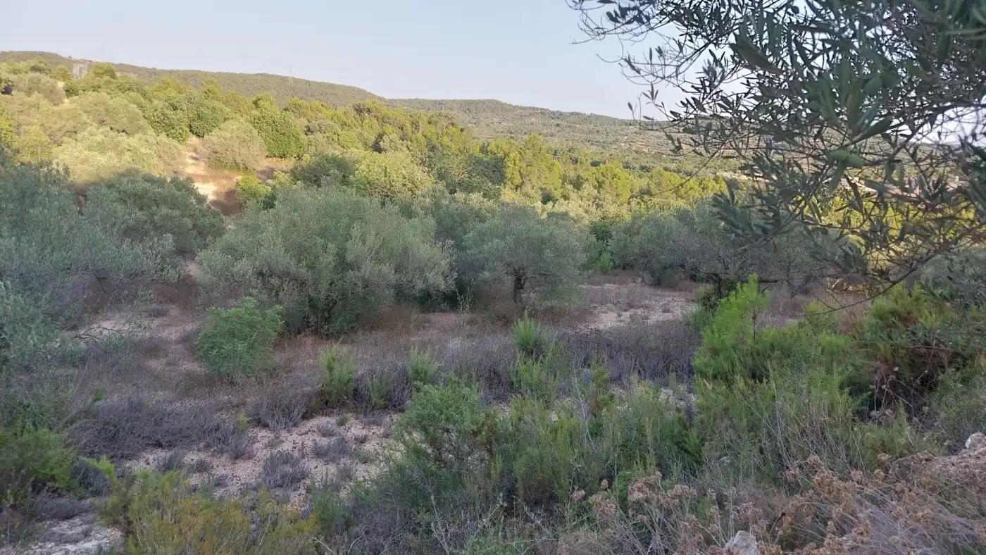 Terreno rustico in vendita a El Perelló, imagen 13