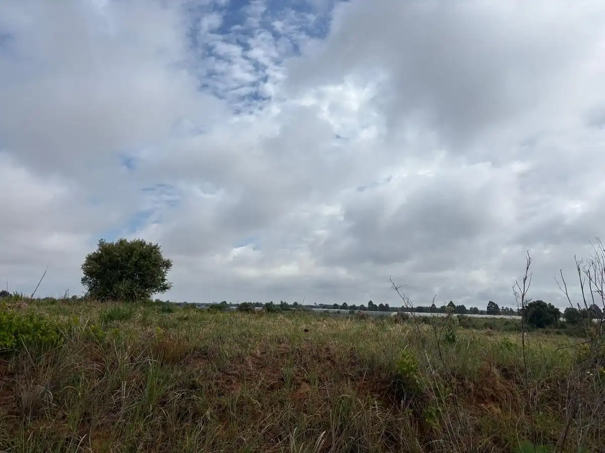 Terreno rustico in vendita a Almonte ciudad, imagen 6