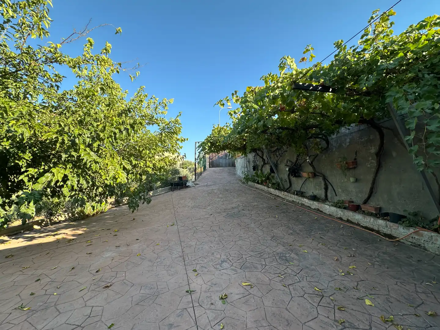 Landhaus mit Pool zum Verkauf in Calle de la Carretera 28, imagen 39