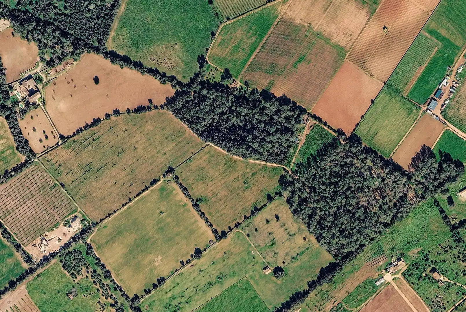 Terreny rústic en venda a Sencelles, imagen 3
