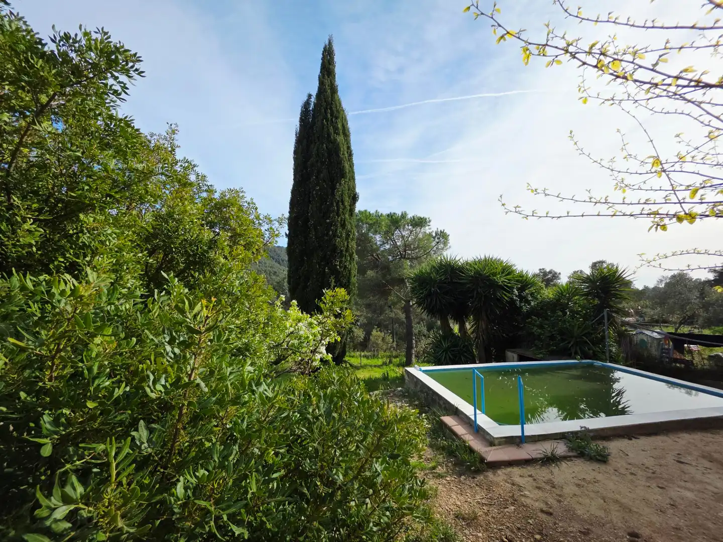 Villa con terrazza in vendita a Vallirana, imagen 35