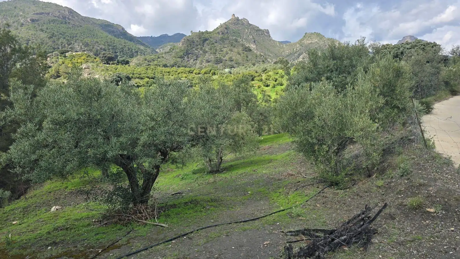 Terreno rustico in vendita a Polígono 11 Parcela 117 EL CERRILLAR. LOS GUAJARES (GRANADA), imagen 2