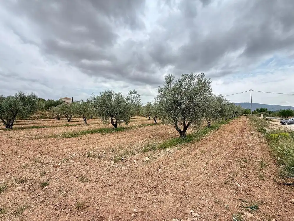 Maison à vendre à El Pinós / Pinoso, imagen 31