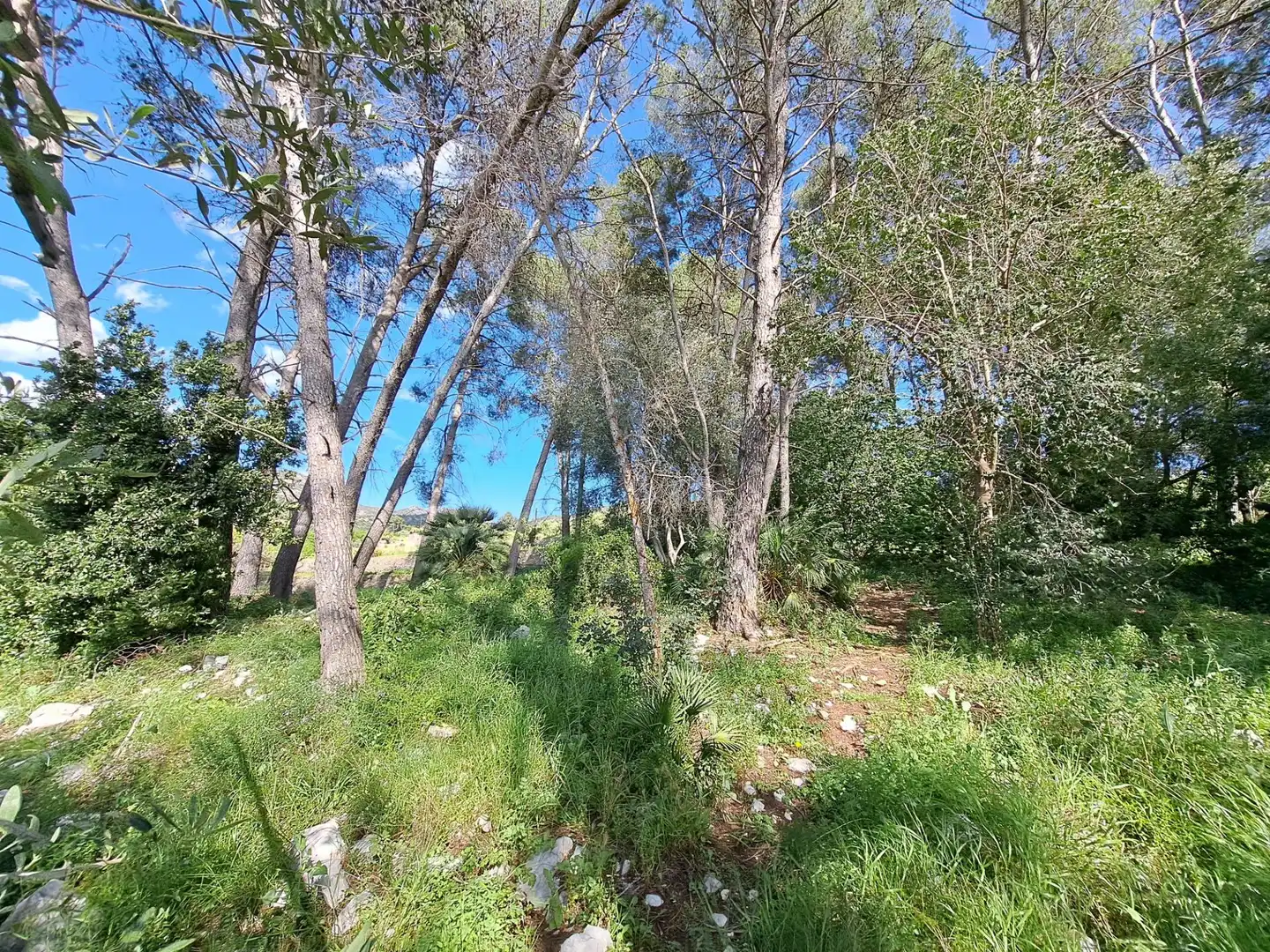 Country homes for sale in Alzira  with Swimming Pool