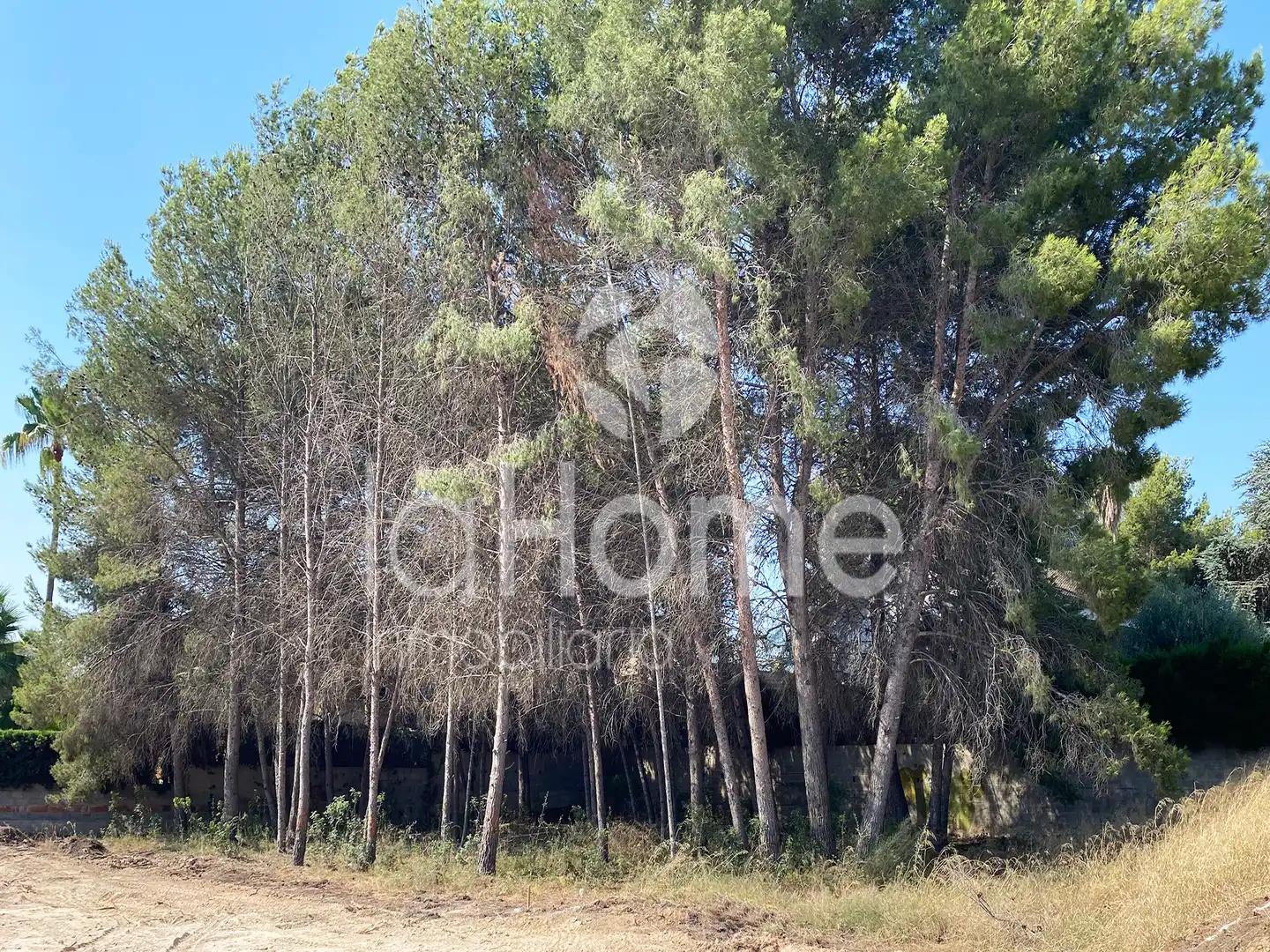 Terreny residencial en venda a La Cañada, imagen 4