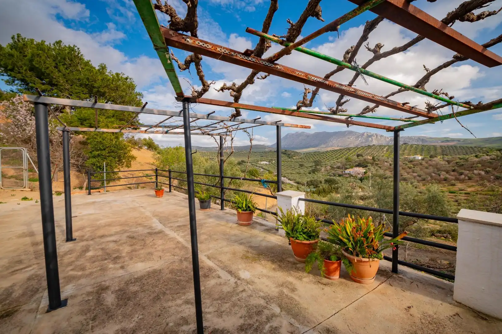Terraza de Finca rústica en venta en Antequera