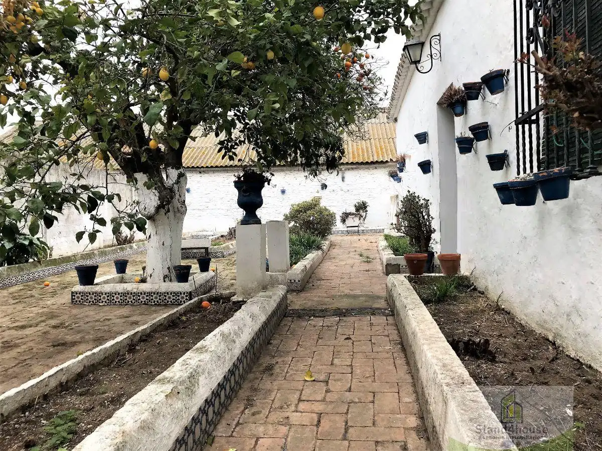 House with terrace for sale in Manzanilla, imagen 37