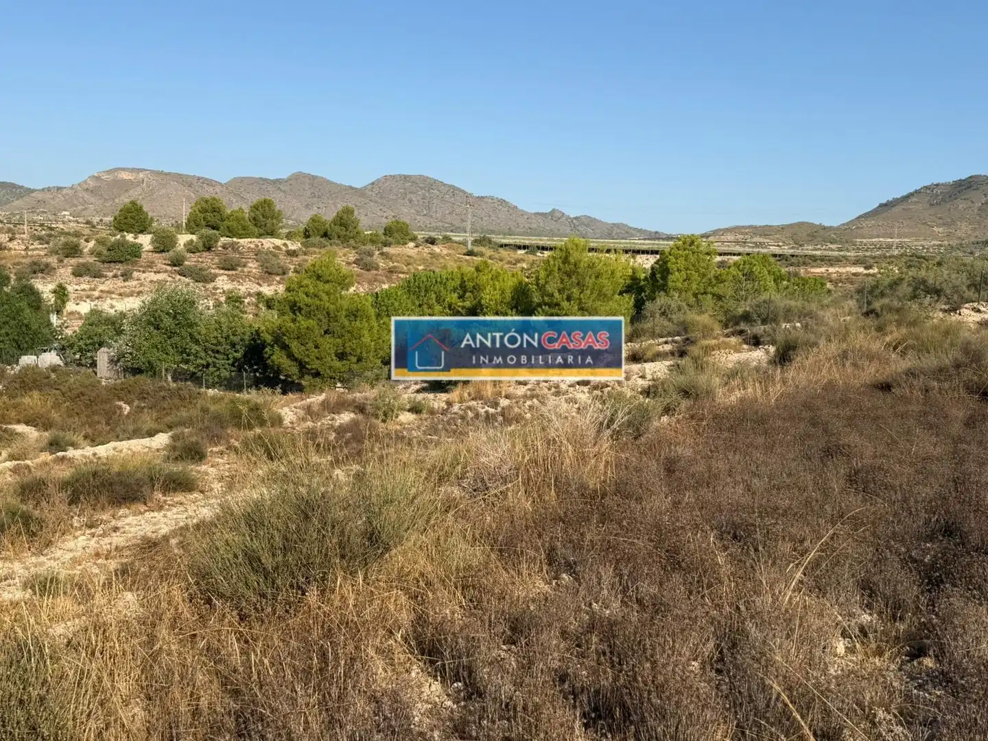 Rural land for sale in Novelda, imagen 10