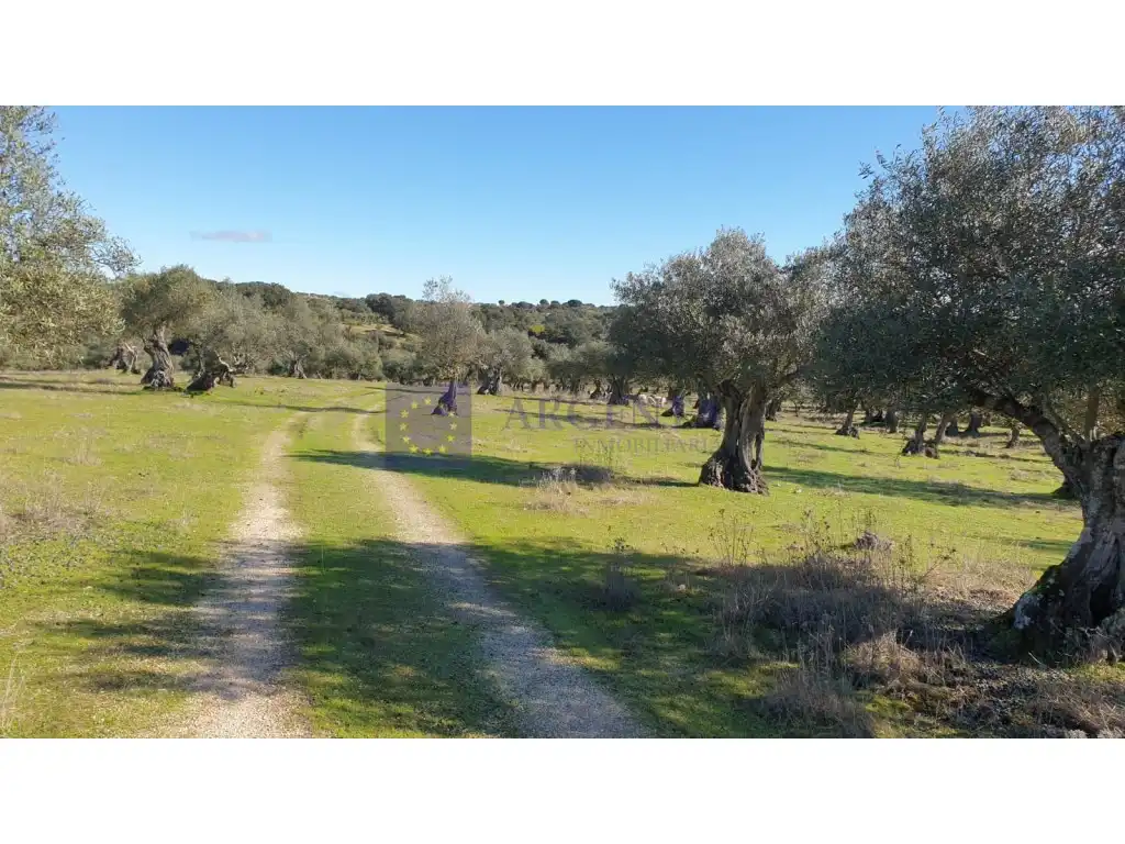 Houses for sale in Diseminados S Miguel, Alcántara