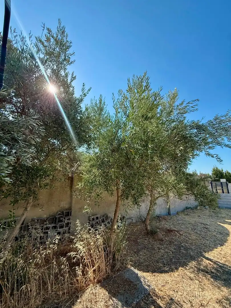 Casa en venda a Periurbano Oeste - Sierra, imagen 8