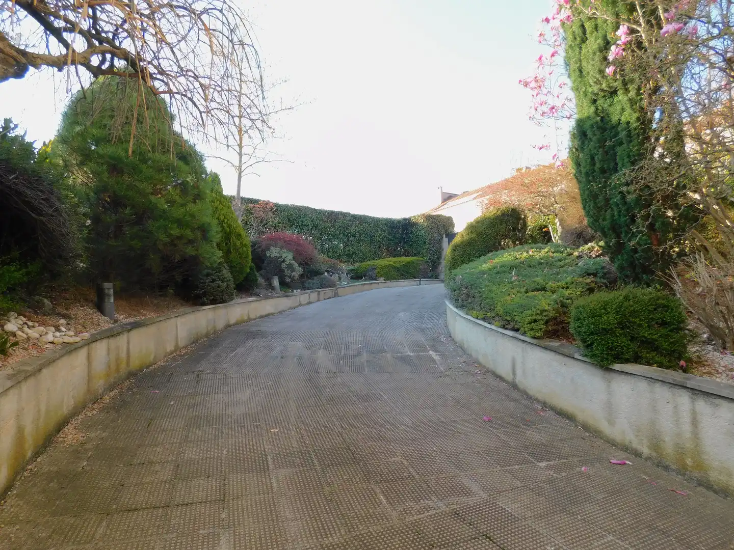 Vista exterior de Casa o chalet en venta en Zizur Mayor / Zizur Nagusia con Calefacción, Jardín privado y Terraza