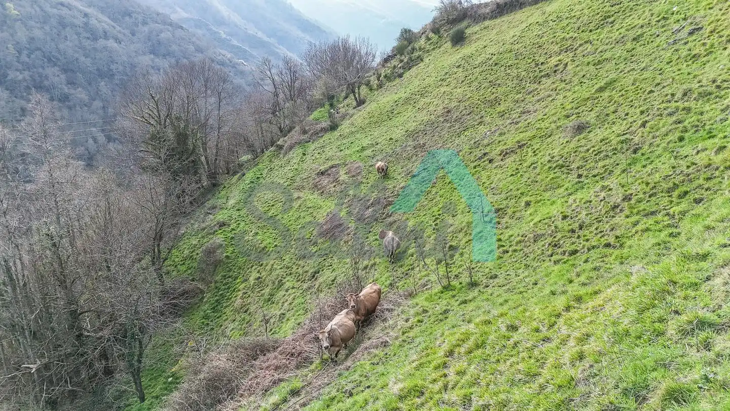 Casa adosada en venda en Cangas del Narcea amb Calefacció, Jardí privat i Terrassa
