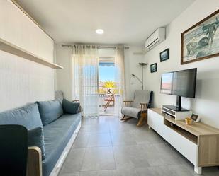 Sala d'estar de Apartament de lloguer en Torrevieja amb Aire condicionat