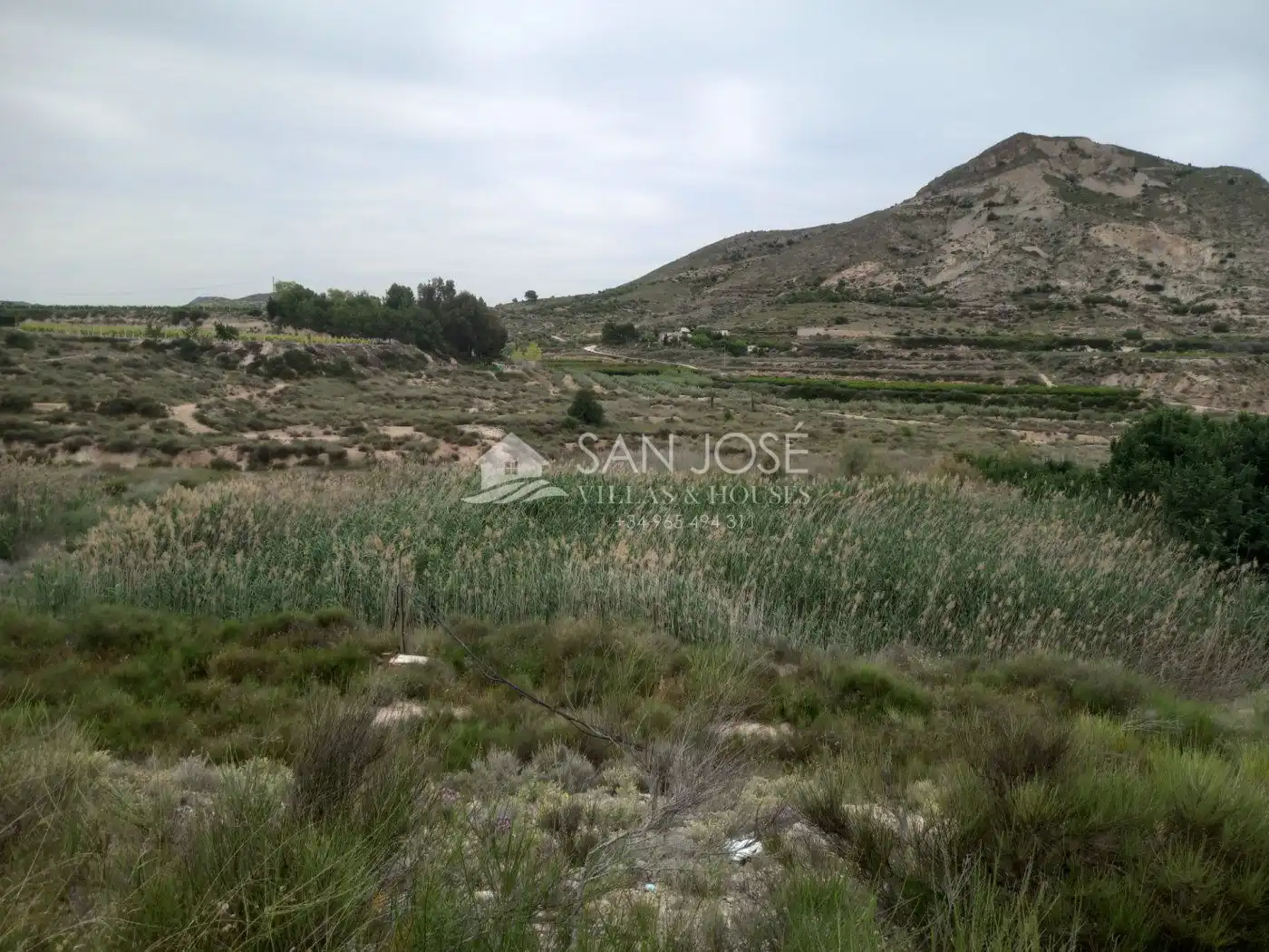 Rural land for sale in Novelda, imagen 11
