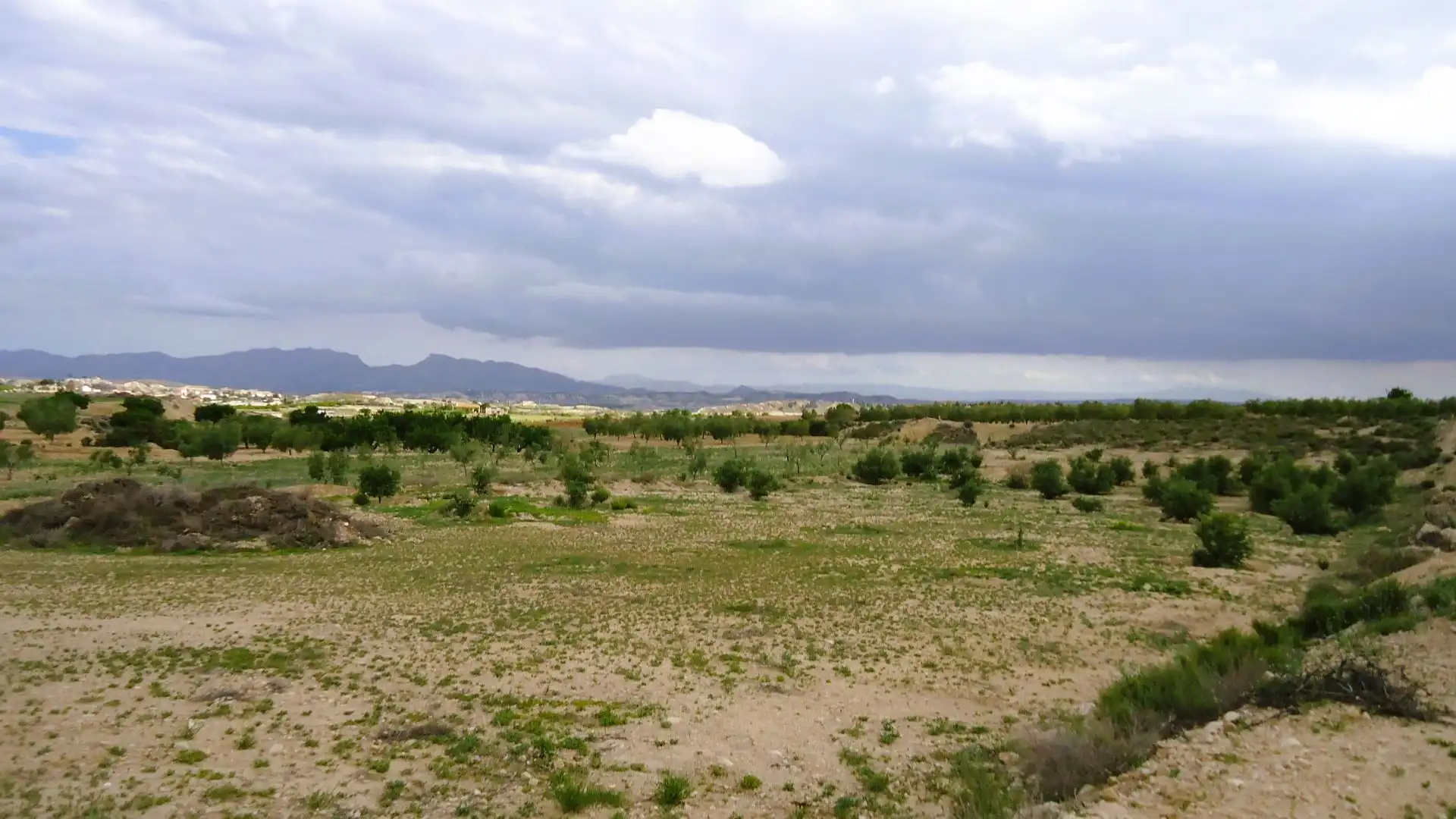 Terrain rustique à vendre à Abanilla
