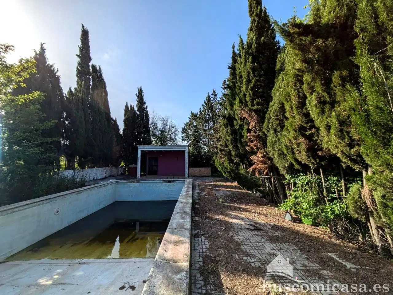 Piscina de Finca rústica en venda en Linares amb Jardí privat i Piscina