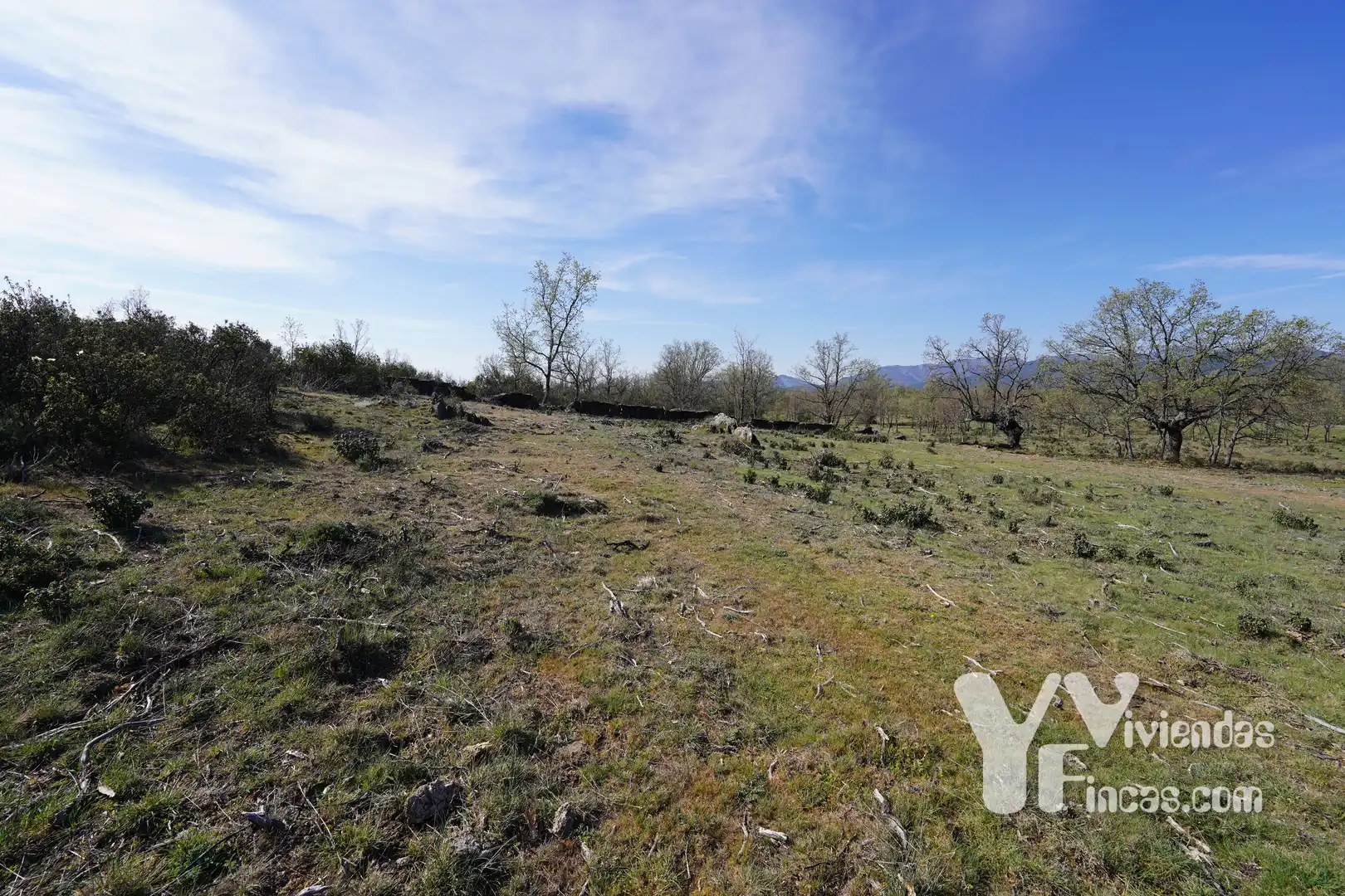 Terreno rústico en venta en Campillo de Ranas, imagen 17