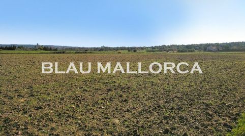 Photo 2 of Country homes for sale in Petra, Illes Balears