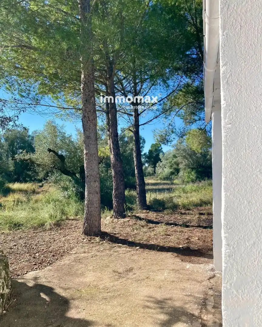 Rural land for sale in Godall, imagen 13