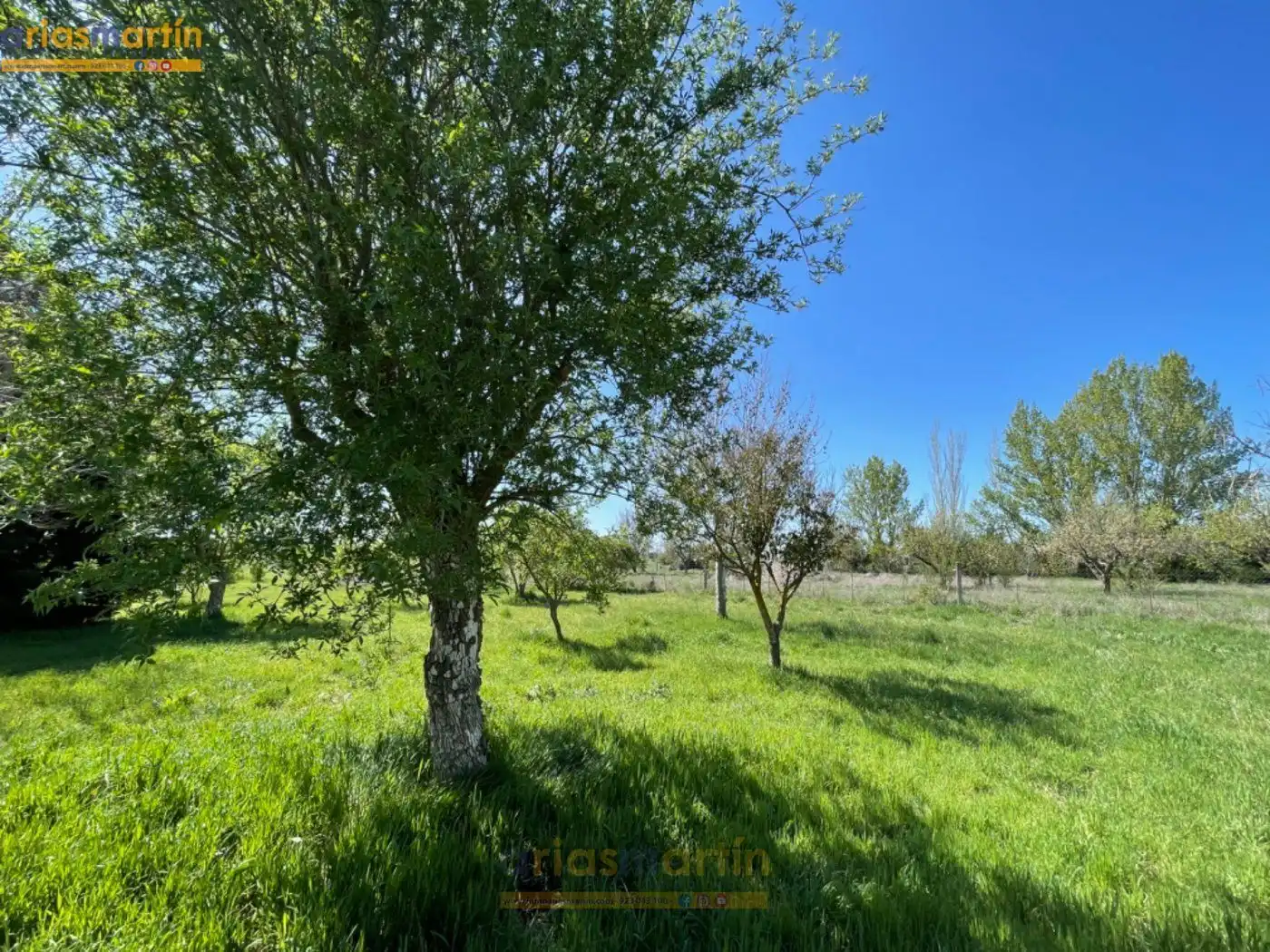 Casa o xalet en venda a HUERTOS, DE LOS, 10, Barbadillo