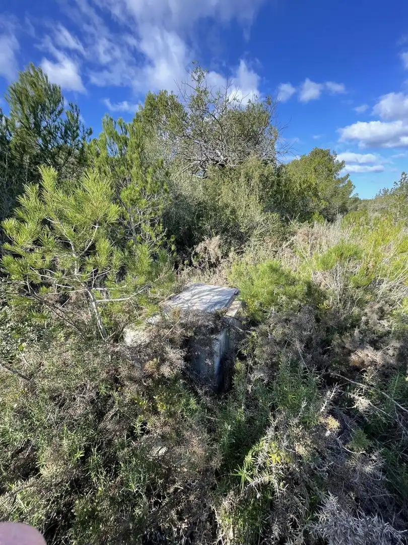 Terrain rustique à vendre à bassa nadell, imagen 2